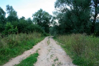 из д.Сосновки в д.Чекалки