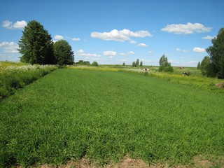 д.Трошино (д.М.Чектакнур) (Дмитрий Полушин)