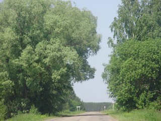 Арбайка рядом (Sergei Baiteraykov)