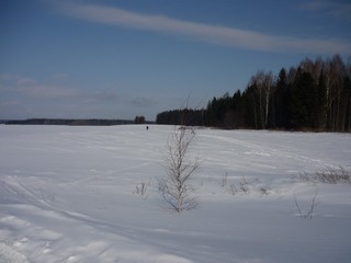 лыжня (Dima Davydov)