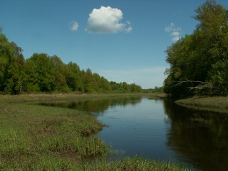 изгиб реки//bend of the river (viktor drobot)