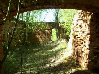 Заброшенная церковь в д. Сомовщина (Никульшино). (ZEVS)