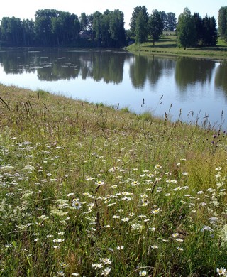 Рябовские пруды (Andreev Kostyan)