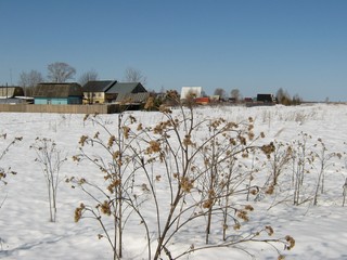 Булдаки (Дмитрий Зонов)