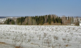 Вид с Волчьей горы (Andreev Kostyan)