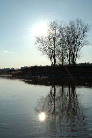 Чепца/взгляд вниз по течению/высокая вода (Mikhail Buldakov)