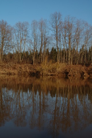 отражение/Чепца/берег/высокая вода (Mikhail Buldakov)
