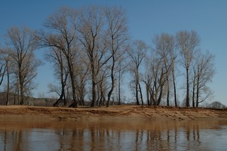 Чепца/взгляд вниз по течению/высокая вода (Mikhail Buldakov)