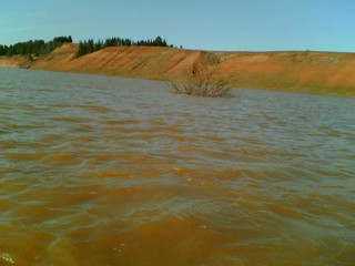 р. Чепца (Randy Yananeni)