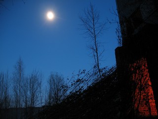 Заброшенный Шабердинский кирпичный завод (Дмитрий Солодянкин)