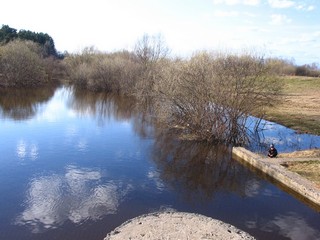 р.Чахловица в половодье, вид с плотины (Дмитрий Зонов)