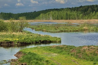 Подболоченная долина р.Кияик/вид на северо-запад (Mikhail Buldakov)