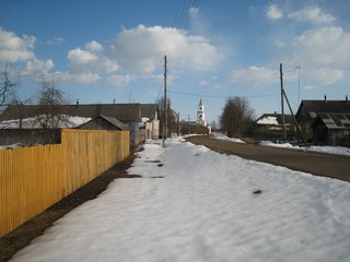 д.Васильково, улица (Дмитрий Полушин)