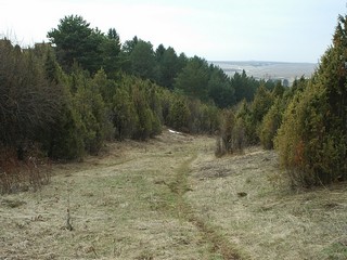 1 мая 2010 (Makshanov Eugene)