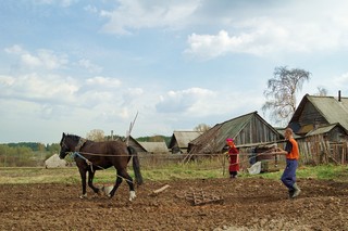огороды в с.Светлое/ (Mikhail Buldakov)