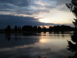 Пруд в Подшивалово (Yan Gorev)