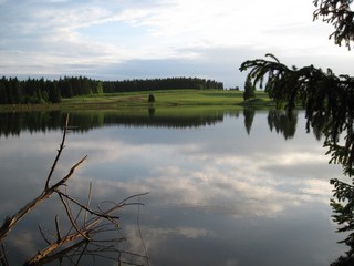 Пруд в Подшивалово (Yan Gorev)