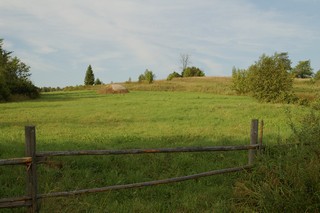 покос/Нов.Жикья/вид на северо-восток (Mikhail Buldakov)