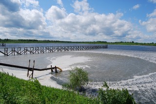 Биопруд (uchkuma)