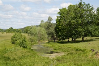 Следы разлива. (My roads and trails)