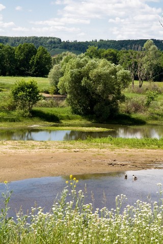 Обмелевшие протоки. (My roads and trails)