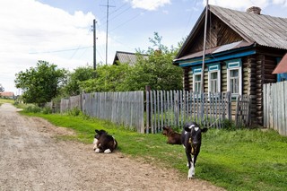 Country house. Домик в деревне. (My roads and trails)
