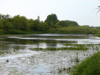 Засушливое лето. Кишкиль пересох. (ua4nhq)