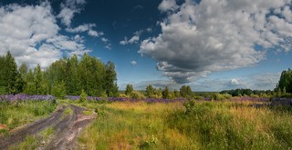 Урочище Дедовский починок (Денис Логиновский (denlog))