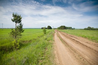 Впереди д. Верхняя Иж-Бобья (v-prohorov)