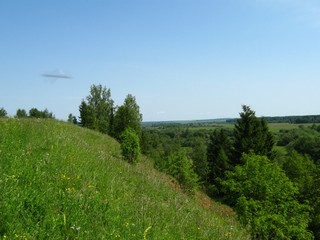 Склон коренного берега р.Косы (Дмитрий Зонов)