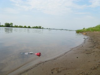 На берегу Камы рядом с Быргындой (лето) (Igor V. Kuznetsov)