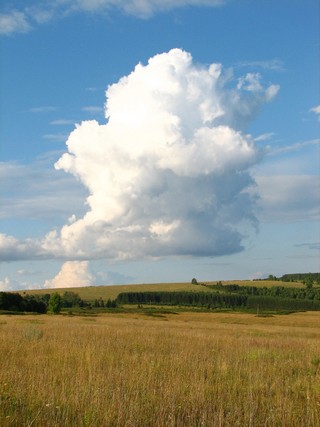 Как Джин из бутылки (ua4nhq)