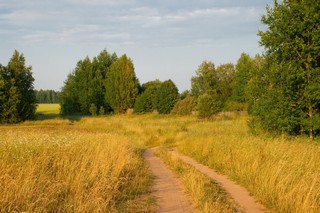 Забор. д.Вязовое Юрьянского района (Юрий Зыкин)
