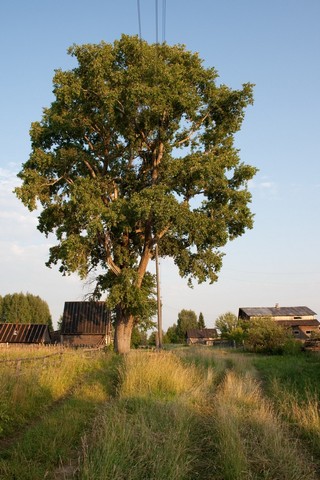 д.Вязовое Юрьянского района (Юрий Зыкин)