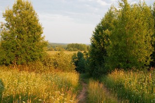 д.Вязовое Юрьянского района (Юрий Зыкин)