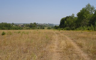 Поле (Andreev Kostyan)