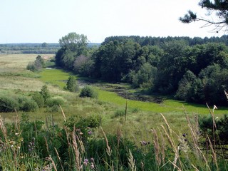 Вид на пойменные луга (Andreev Kostyan)
