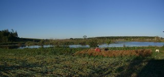 Вид на ближнюю к Грахово часть Заречного пруда (Серёга Безымянный)