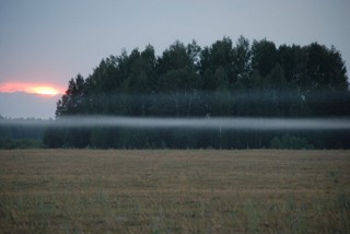 Sunset fog (Bulko)
