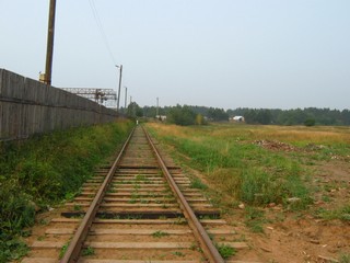 Ж/д тупик в сторону р.Великой (Дмитрий Зонов)