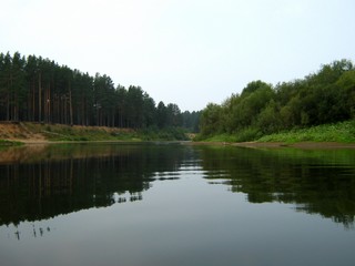 Сосновый бор у р.Великой (Дмитрий Зонов)