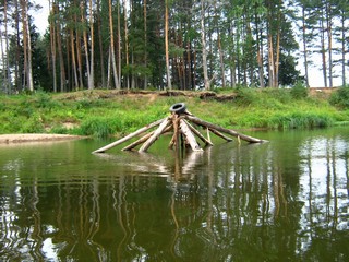 Памятник бобрам? (Дмитрий Зонов)