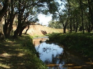 река Волгозиха.Знойное лето 2010 (Makshanov Eugene)
