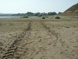 Знойное лето 2010 (Makshanov Eugene)