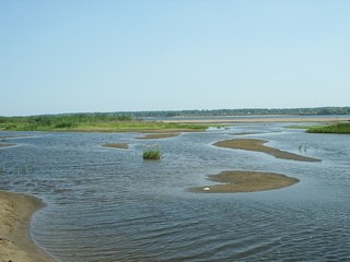 Знойное лето 2010 (Makshanov Eugene)