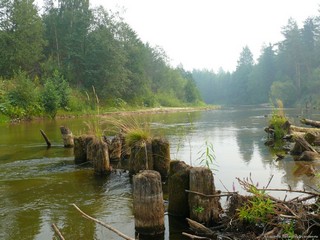 Остатки старого моста (Александр Баданов)