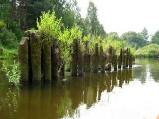 И всюду жизнь! (Дмитрий Зонов)