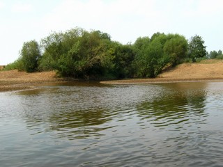 Устье р.Горельницы (Дмитрий Зонов)