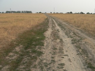 Дорога (Александр Царегородцев)