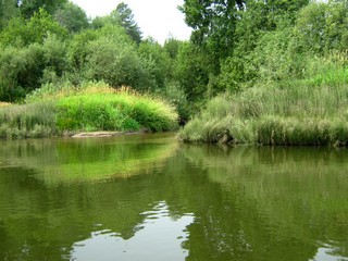 Река Озорница, устье (Дмитрий Зонов)